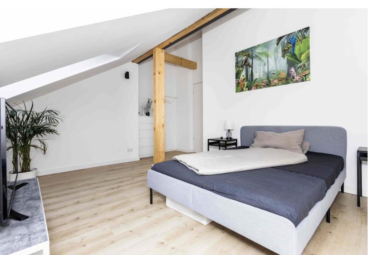 Apartment Neu Lofts Mit Dachterrasse Nähe Zentrum Leipzig